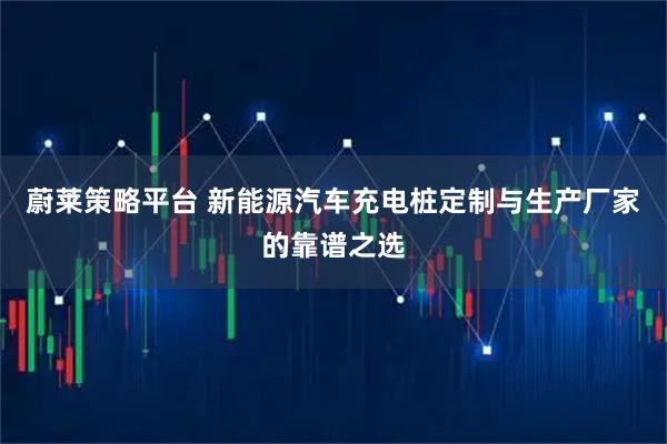 蔚莱策略平台 新能源汽车充电桩定制与生产厂家的靠谱之选
