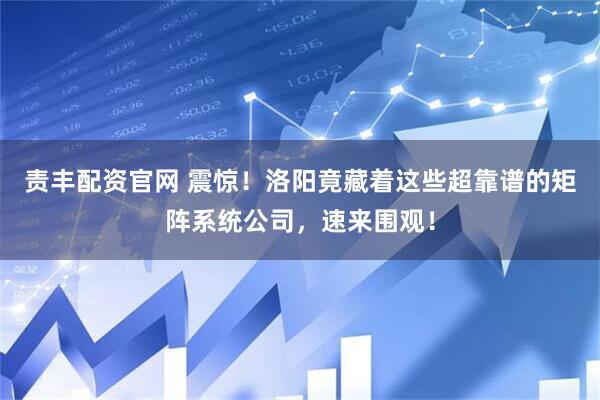 责丰配资官网 震惊！洛阳竟藏着这些超靠谱的矩阵系统公司，速来围观！